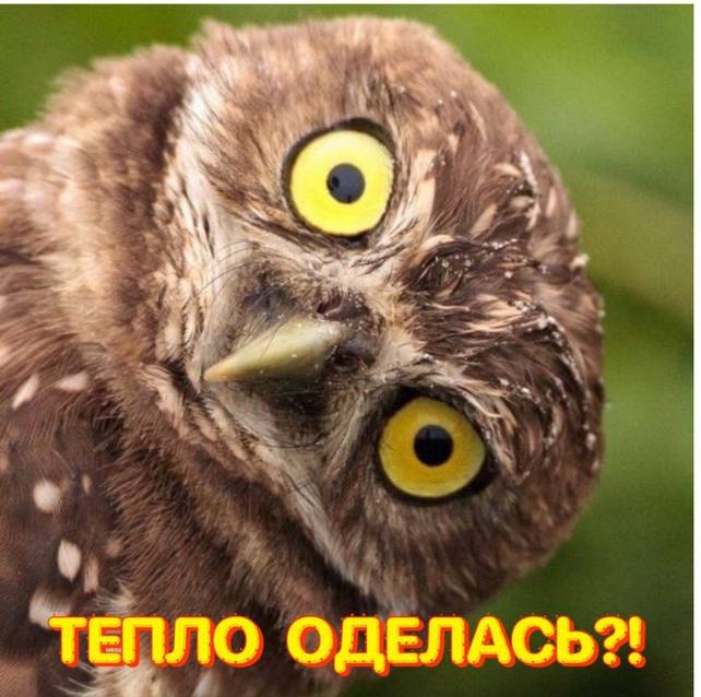 8F696A67-1A4B-4250-96E5-E8073E90F565