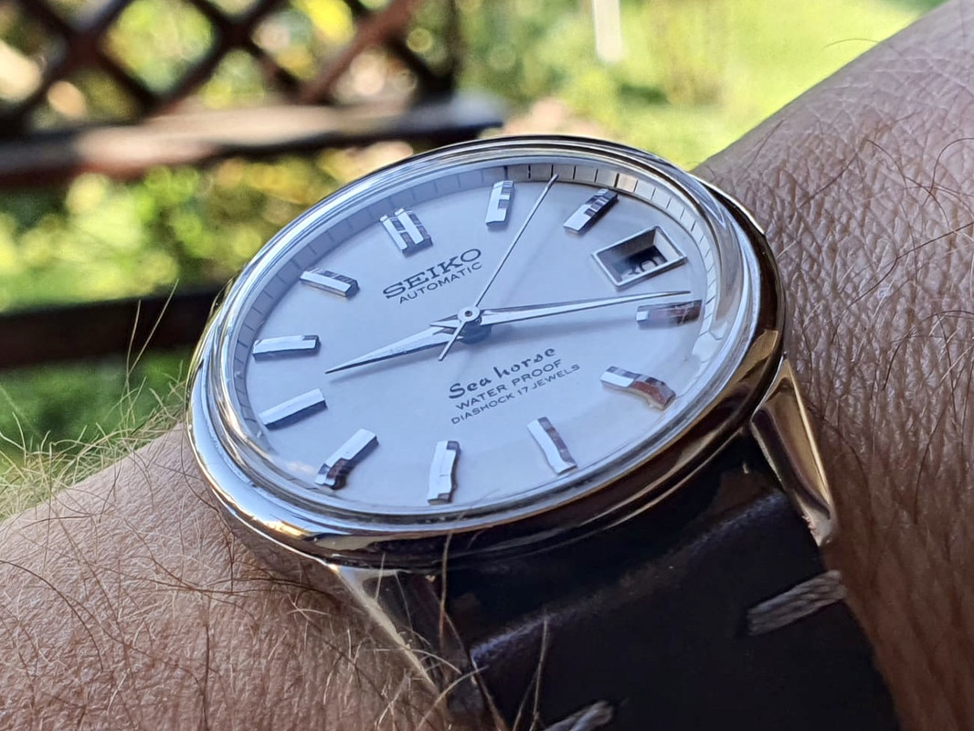 A9A80F79-7116-4F9D-832B-F1B40E2B2A39