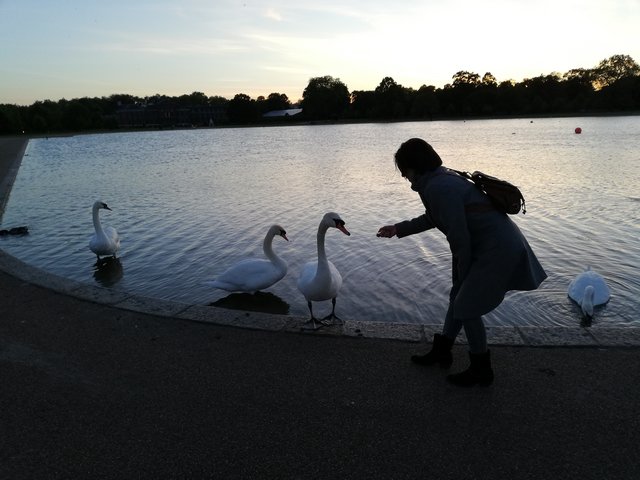 Escapada de 3 días a Londres - Blogs de Reino Unido - Hyde Park (2)