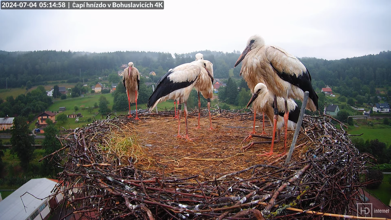Tiešraidē no uzņēmuma KARA stārķa skursteņa Bohuslavicē pie Trutnovas 8-40-35 screenshot
