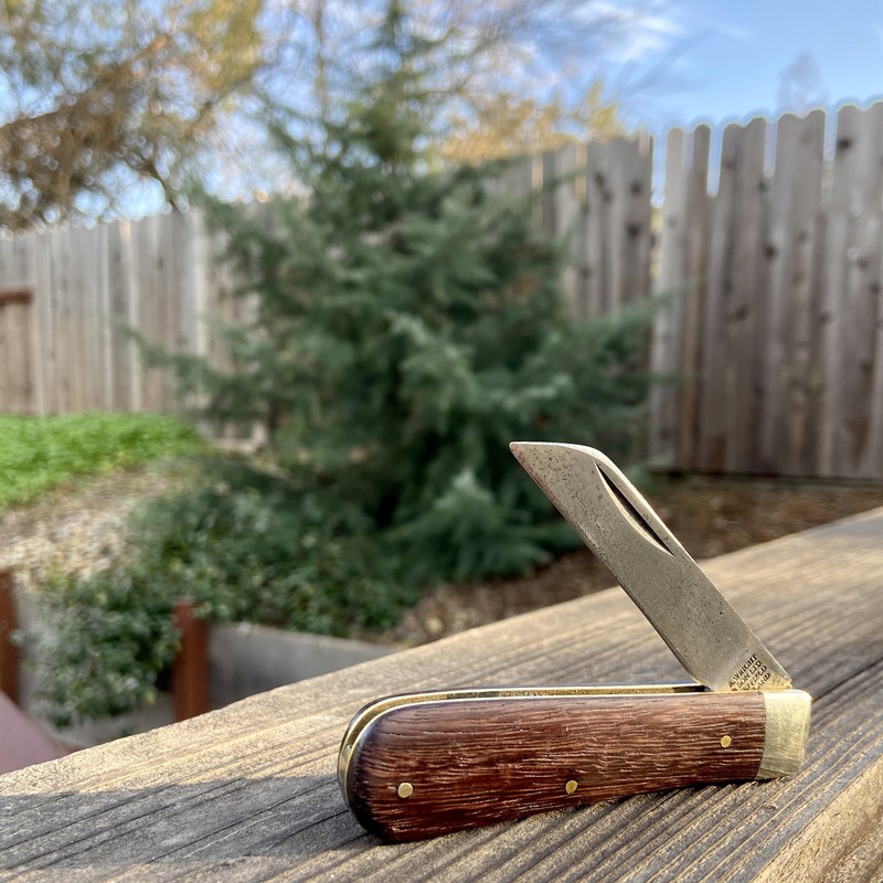 6ECE1051-29B3-4C5E-B5D0-E230CAEE4E7F_1_201_a