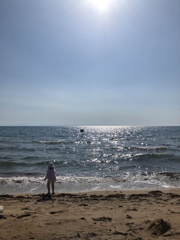 37D0B2DA-97E0-4017-8DF0-EBFE236B7250