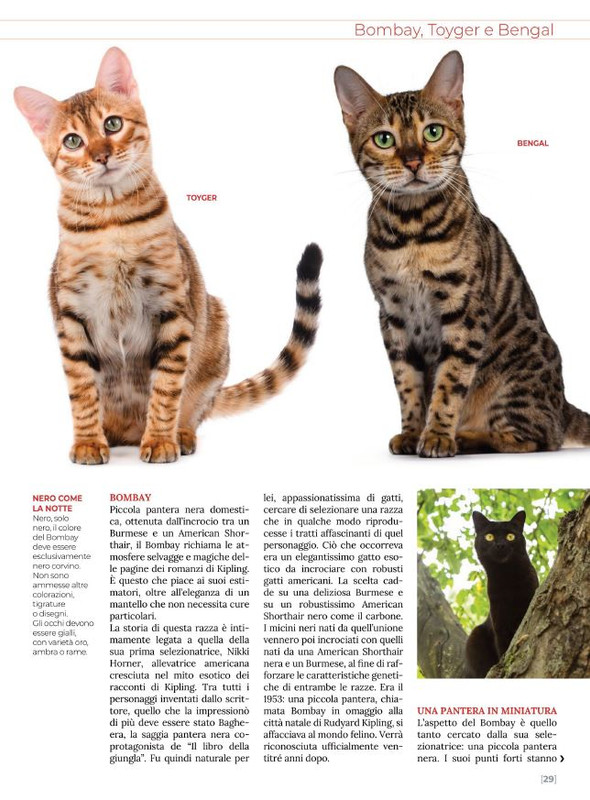 Ga Ma Ott-Nov 2022 (6)