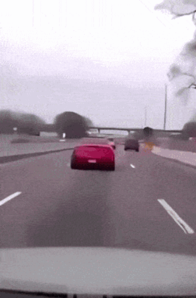 81.gif