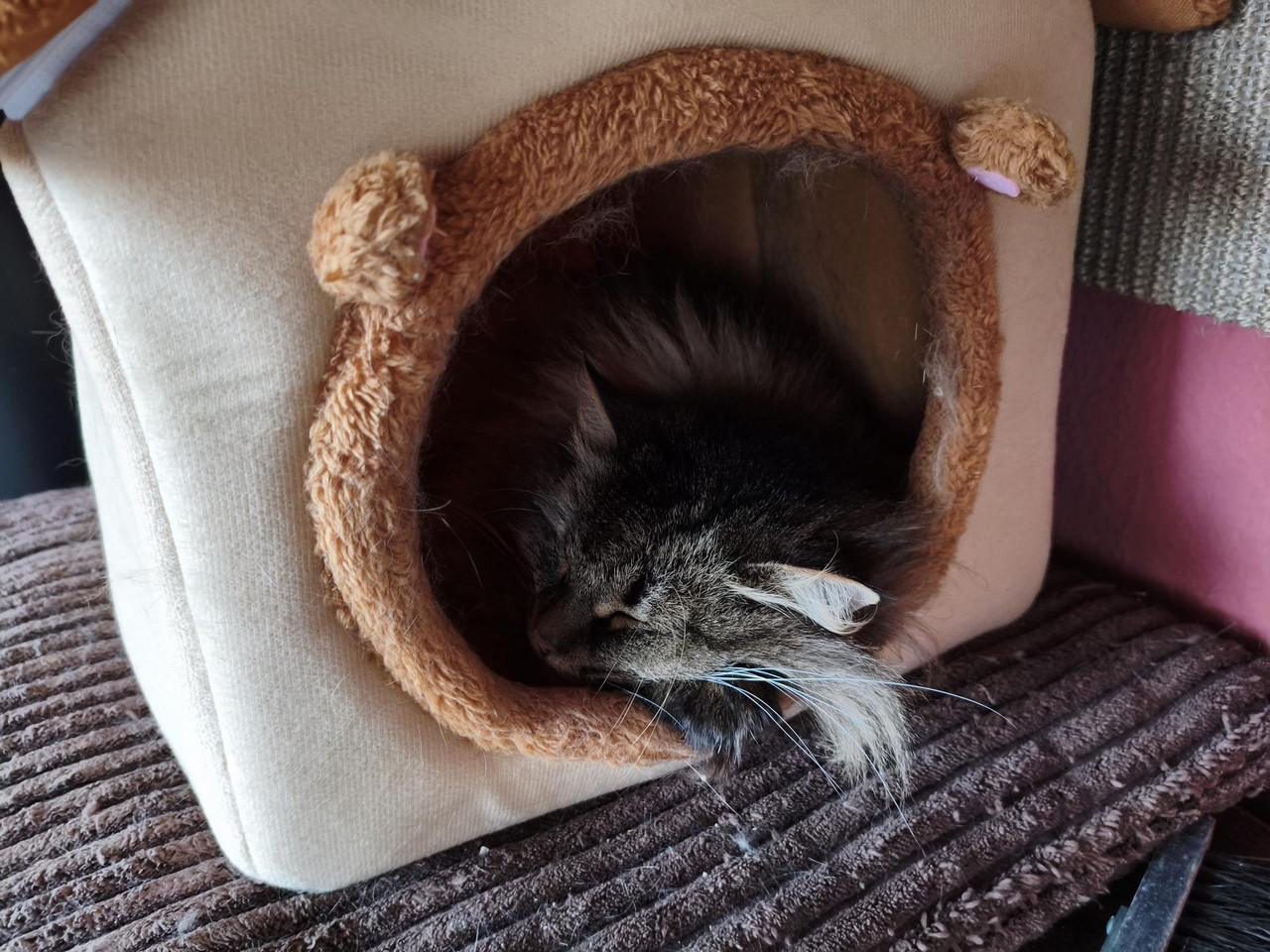 MVIMG 20260216 134654