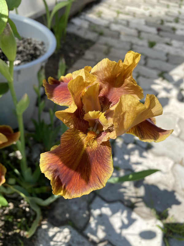 F8760B50-E1F9-444F-8B3F-38D6E4D8EF65