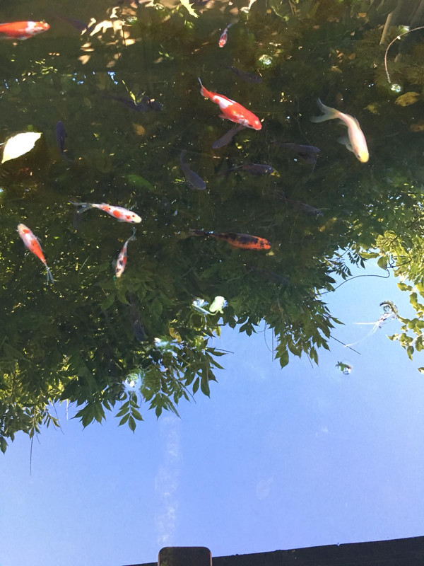 A8A6B704-89F0-4A28-936D-E9E7DC49D8C8