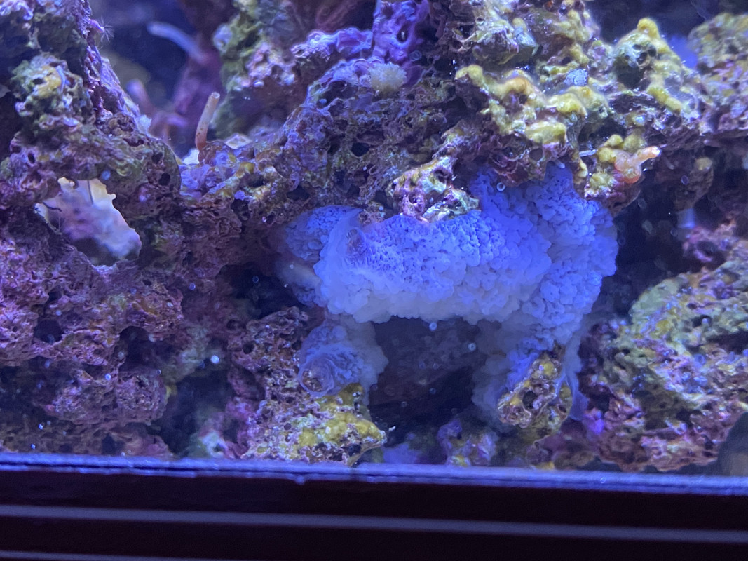 73628849-6F0E-49DB-8E0B-D7222B098AC0