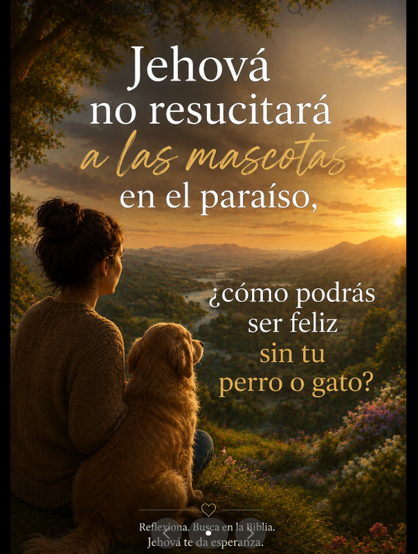 [Imagen: image.png]