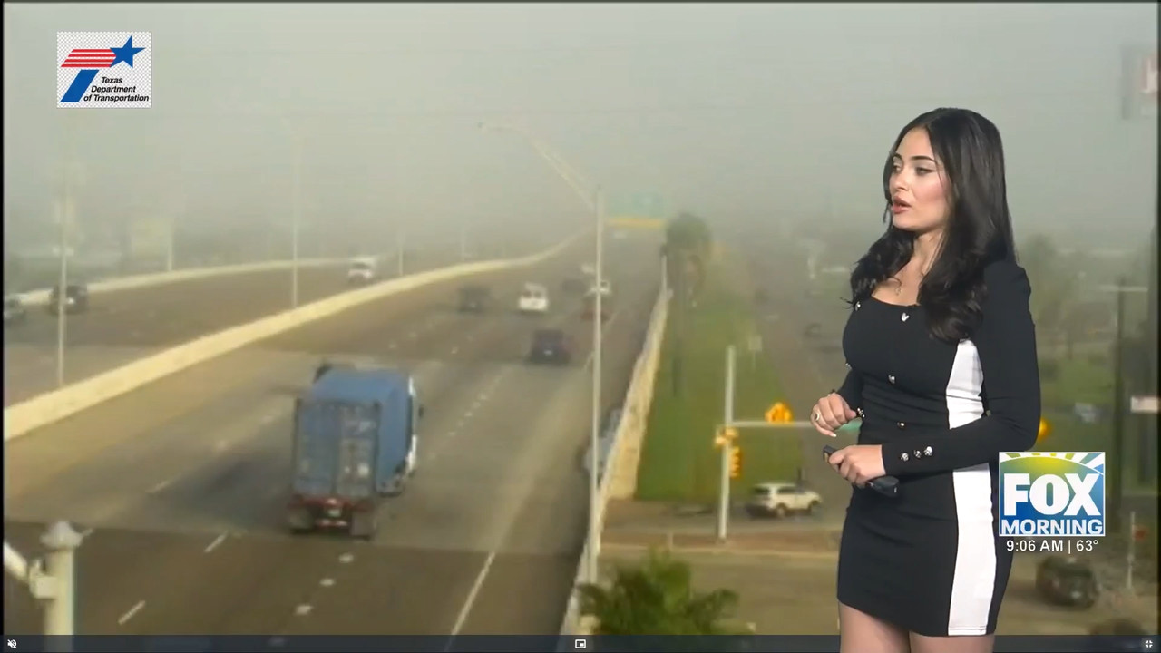 Fox Morning RGV 220324.mp4_snapshot_07.24.500