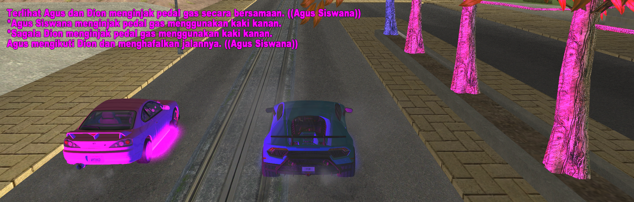 srs2.png