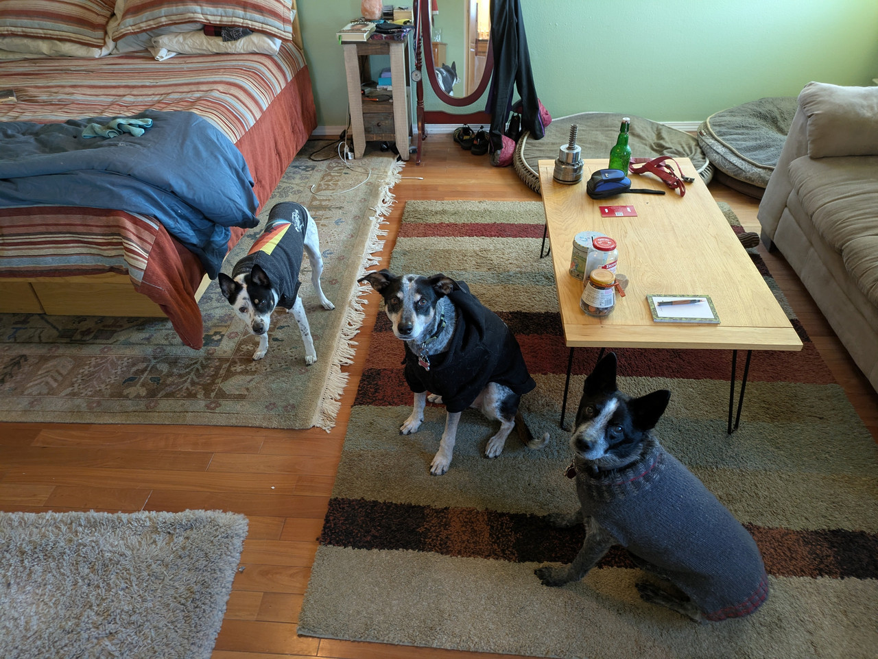 PXL 20251206 143457752(1)