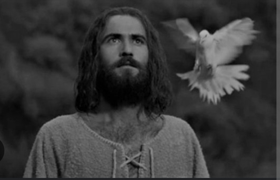 Screenshot_20240207_215600_Chrome