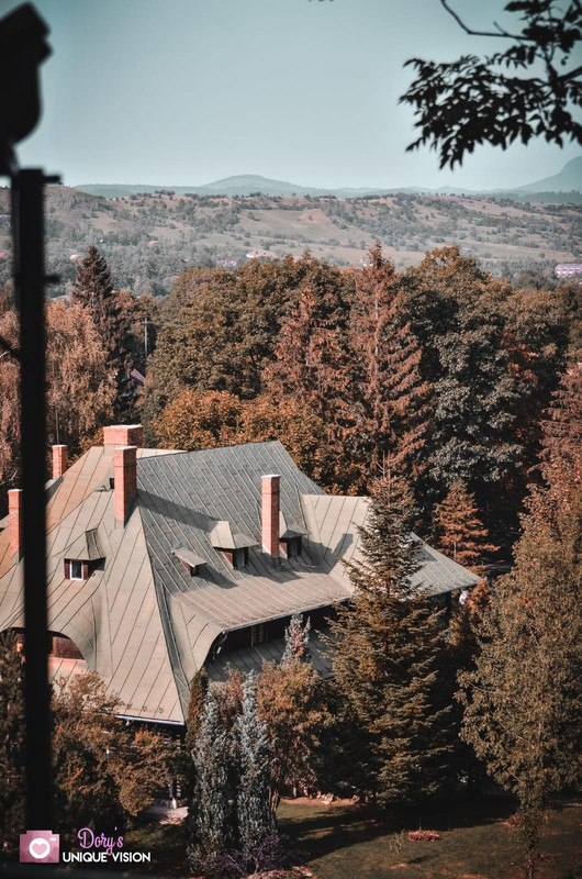 Whats-App-Image-2020-11-04-at-17-27-03-3