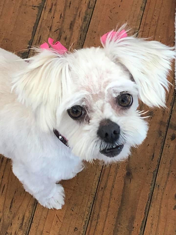 Bella
