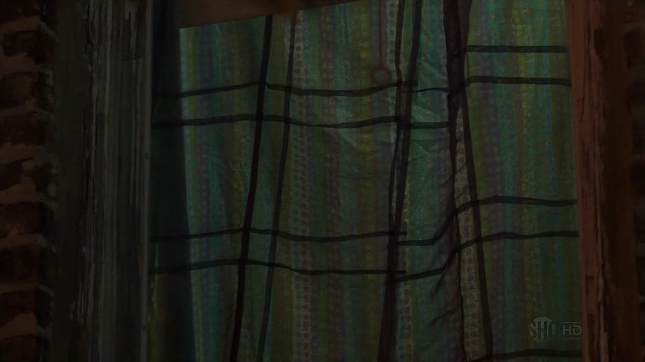 Fotos 04830 Shameless.US.S02E11.720p.HDTV.x264