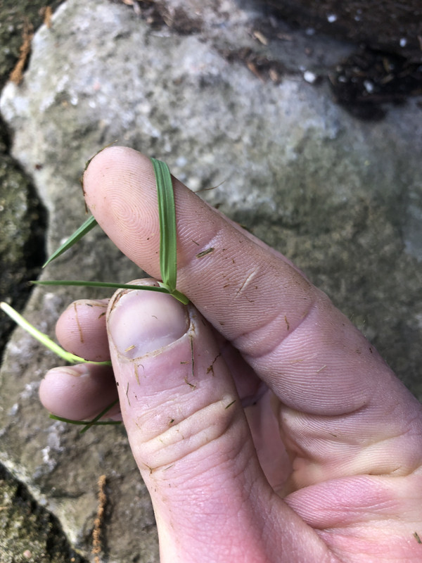 73B550C8-2BFD-48D2-8CEE-2D6B73A071C2