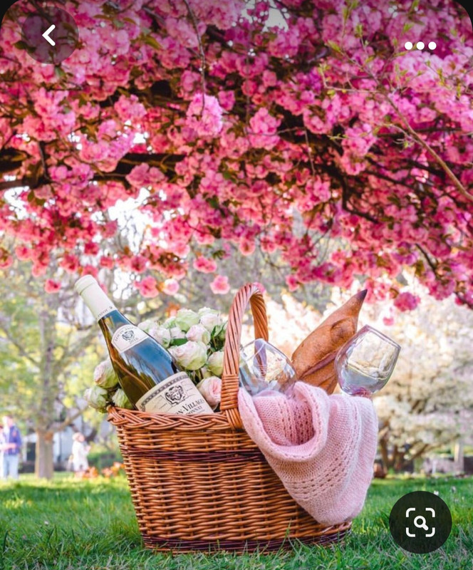 Screenshot_20231101_230853_Pinterest