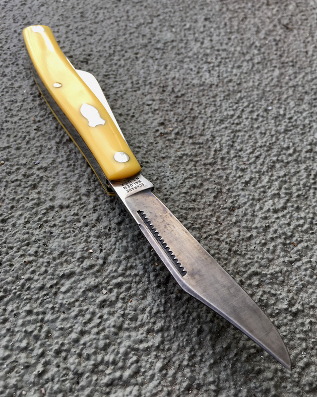 05EF3BB8-53B0-4728-8DEE-37FE330CD6B2