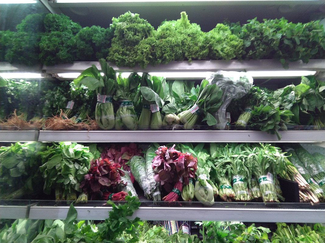 Asus Zenfone Max PRO M1 - Hasil Kamera Depan 3