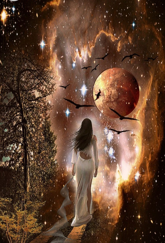 Screenshot_20230103_233616_Chrome