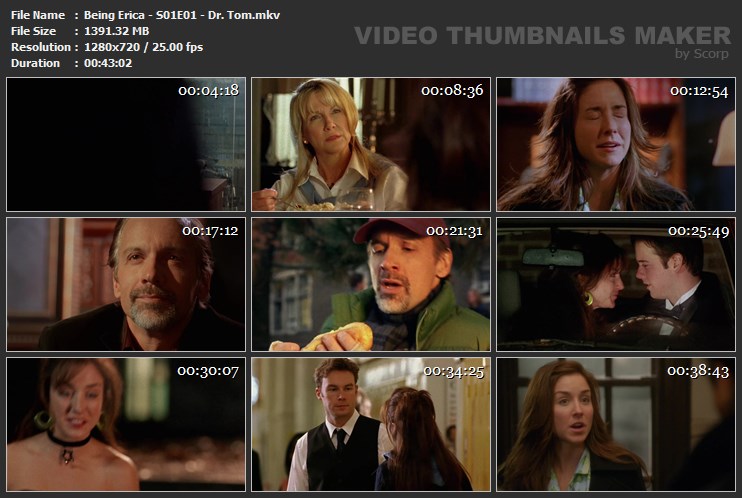 Being Erica - S01E01 - Dr. Tom.mkv
