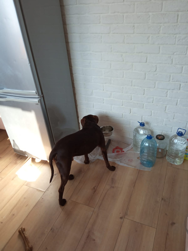 9E074D85-26F8-4BAF-8326-965582E8989F