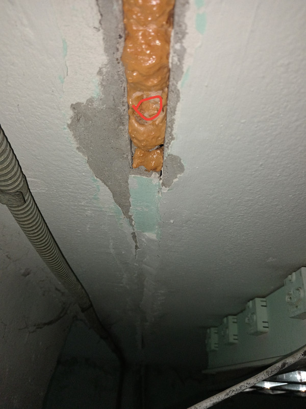 IMG 20251122 183813 edit 945851270761376