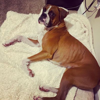 photo_preview_2731_615357b172af1