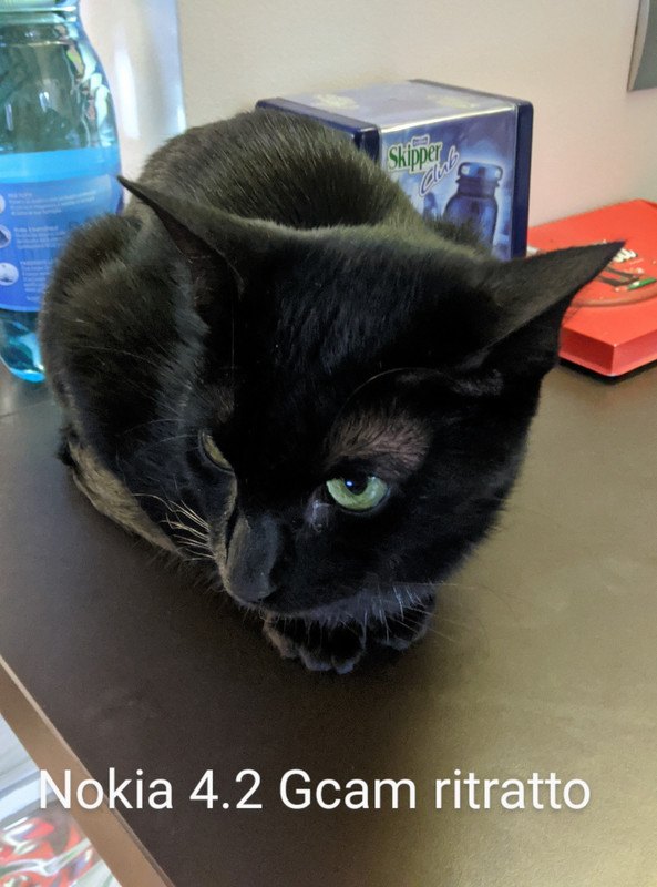 00000IMG_00000_BURST20200503203223320_COVER~2_resize