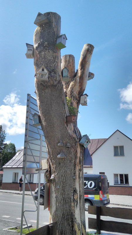 Obrázek