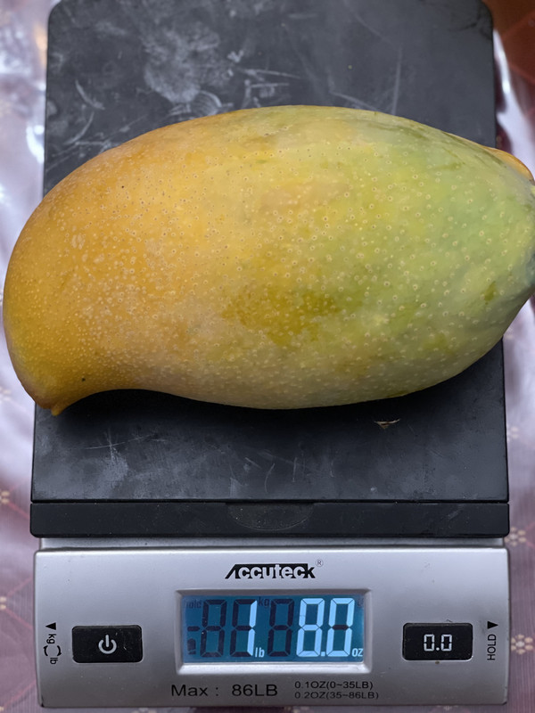 88A31AD5-82DC-4186-83C5-FF2FFEB540B3