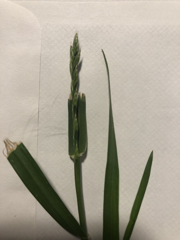 0A882FCE-F690-47F0-8F05-6759774D02CD