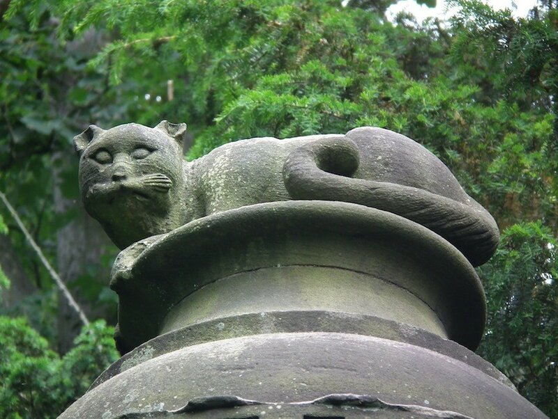 Shugborough-cat-small