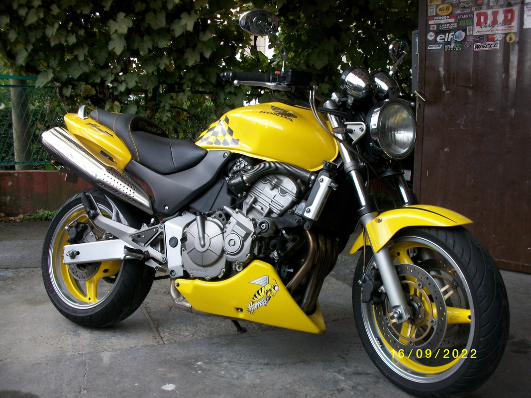 ALIM4369.jpg