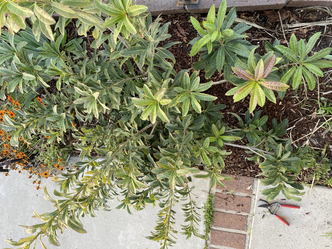 E920C81C-C6BE-41E7-A10E-63B049E7B8FD