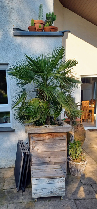 20240624_184254_Original