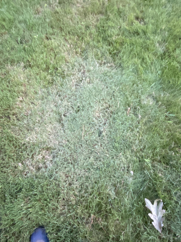 8BE12F47-6361-4BA9-A51C-8547E500E26A