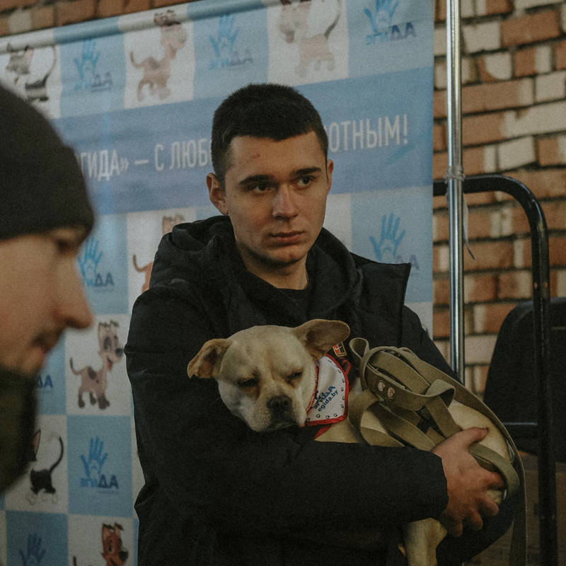 68BB0254-5A76-4312-A2F2-C5C5603C0F86