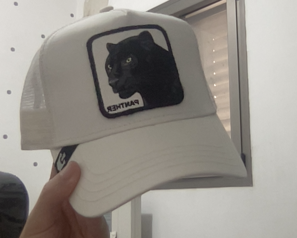 צילום מסך 2023-07-14 ב-9.12.20