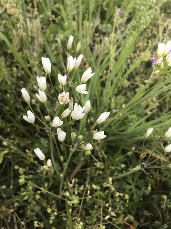 AE09A5E6-9722-4B15-A35D-BEF73D4A453E