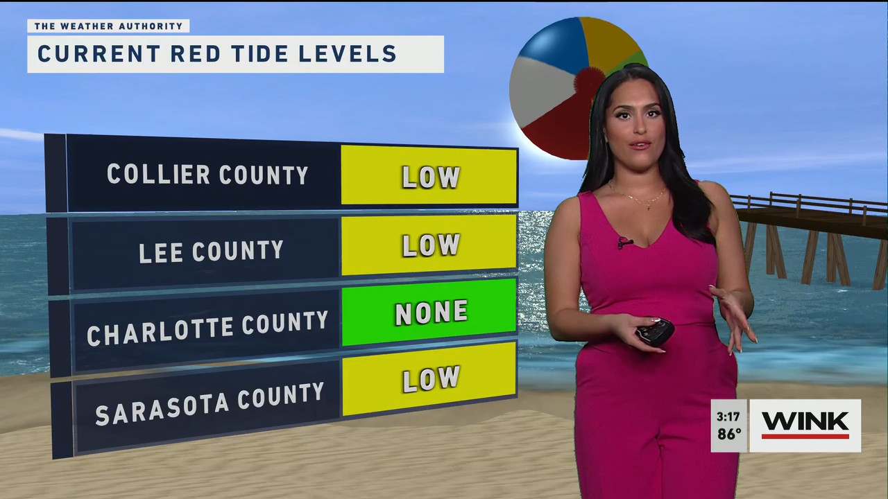 03.24 - 19.00.00 - WINK News at 3pm  ᴺᵉʷ..ts_snapshot_00.18.25.942