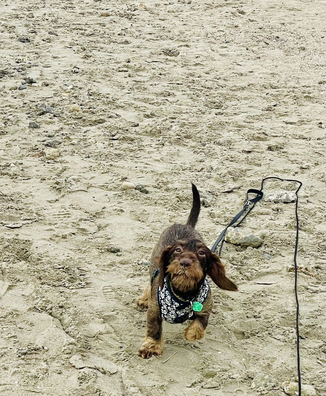 [Image: IMG-2089.jpg]