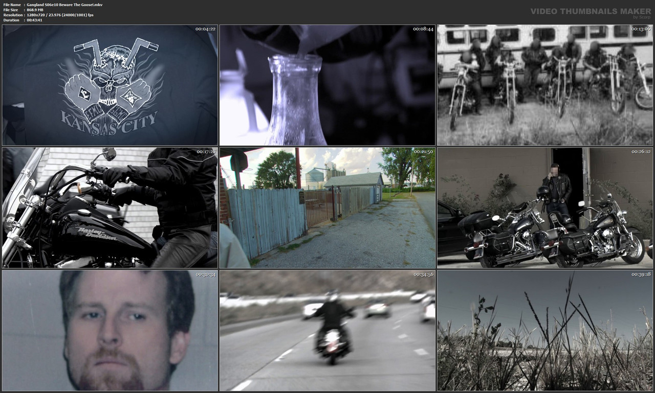Gangland S06e10 Beware The Goose!.mkv