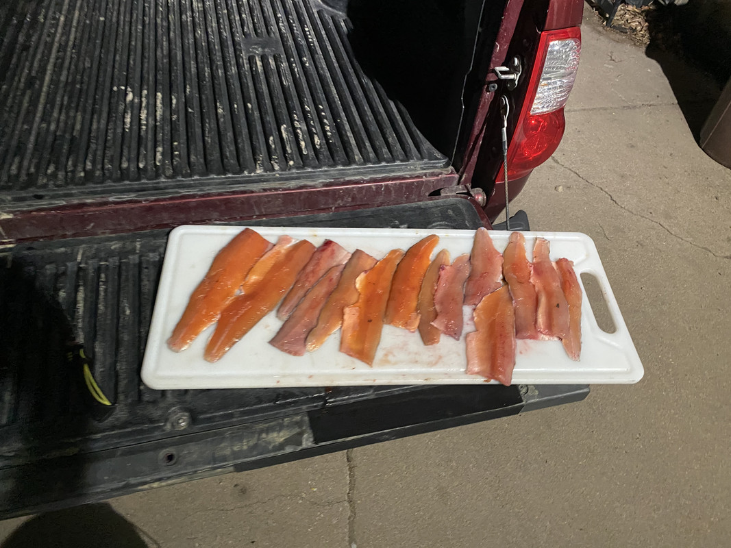 5D8A1FC4-45B0-4FFB-872F-AADE18ECFB8D