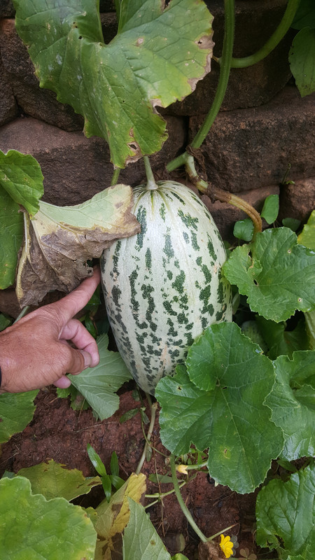 [Image: 20170826-094633.jpg]