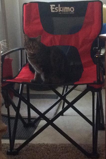 71815950-FE0B-4E20-86A5-37187975B453