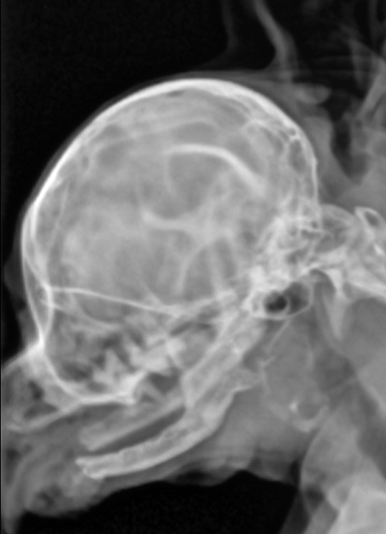 Яника Дрозд_296_1988_4103~5