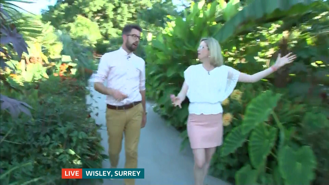 ITV News London_20220810_18001830.ts_snapshot_22.57.597