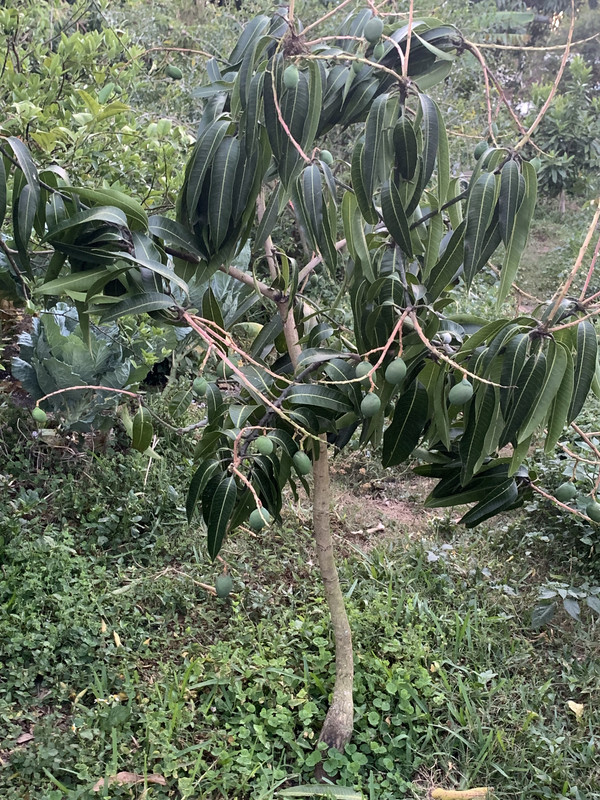 25AA6875-6696-430A-9834-971F004C639A